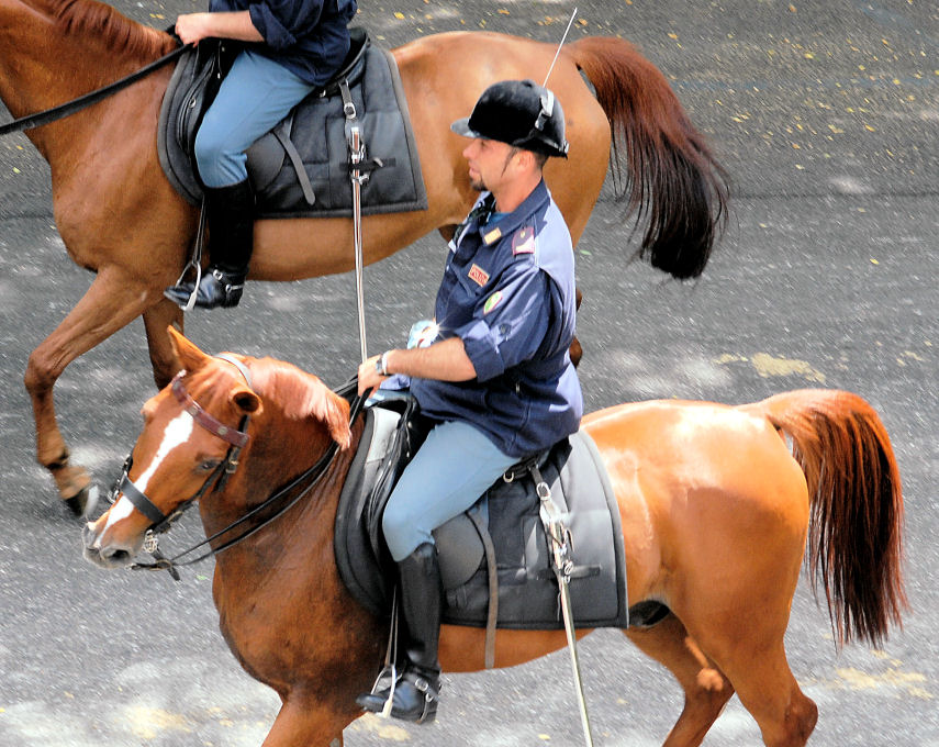 Xilocopa e ancora polizia a cavallo